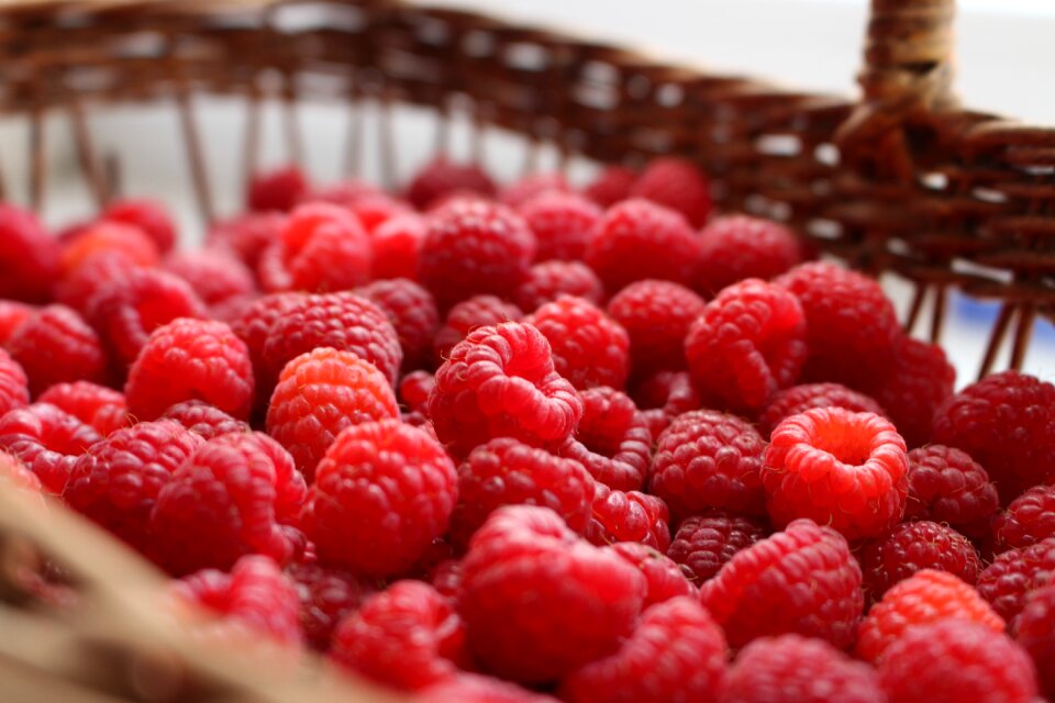 Summer closeup ripe raspberry