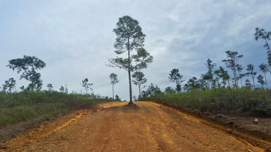 Sky outdoors grass photo