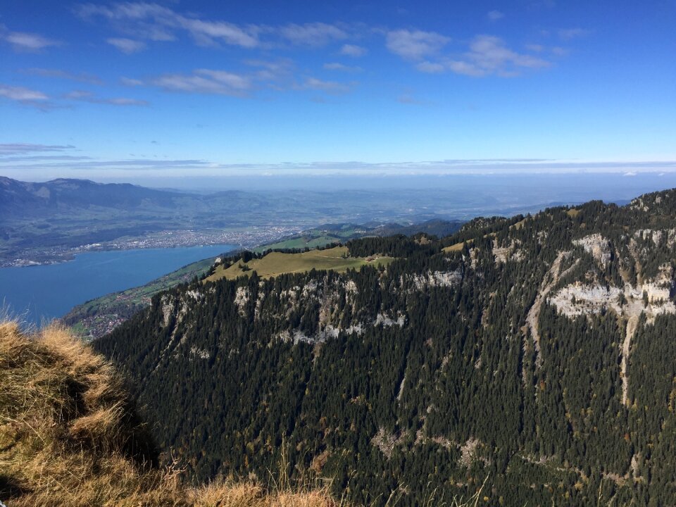 Nature lake thun switzerland