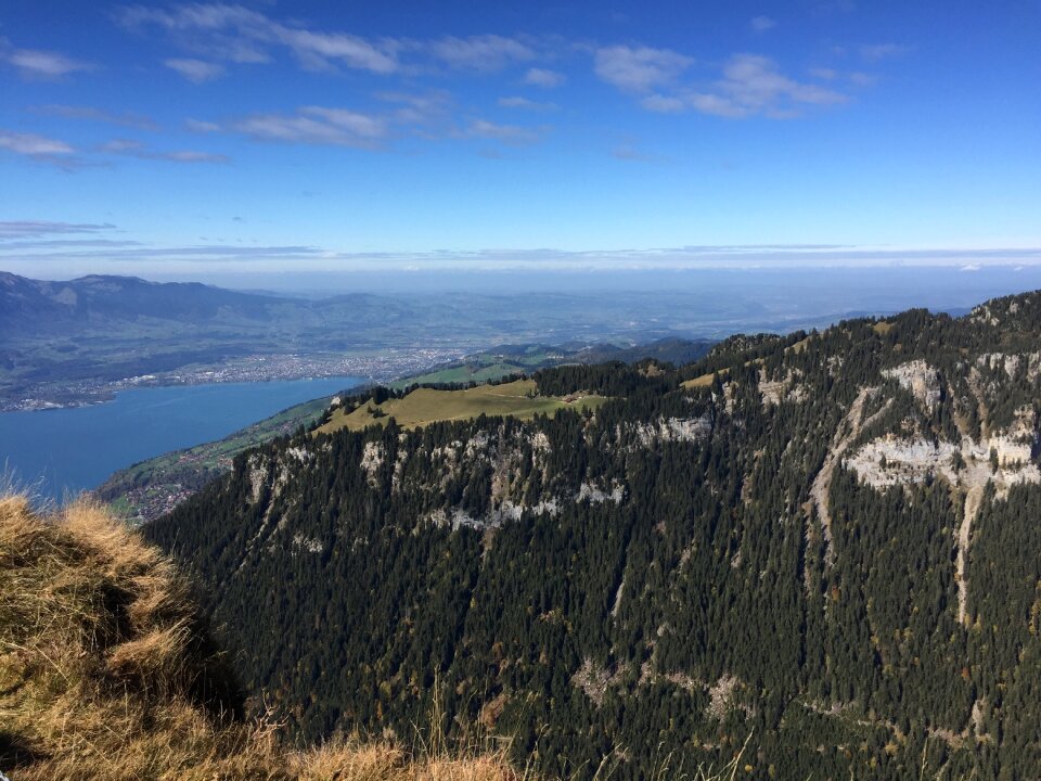 Nature lake thun switzerland photo