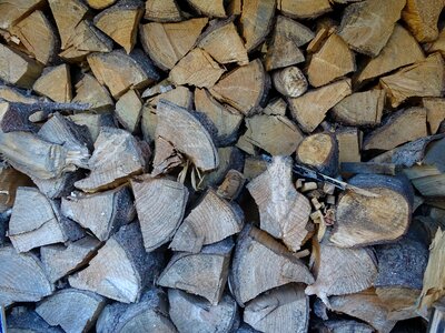 Heating beech oak