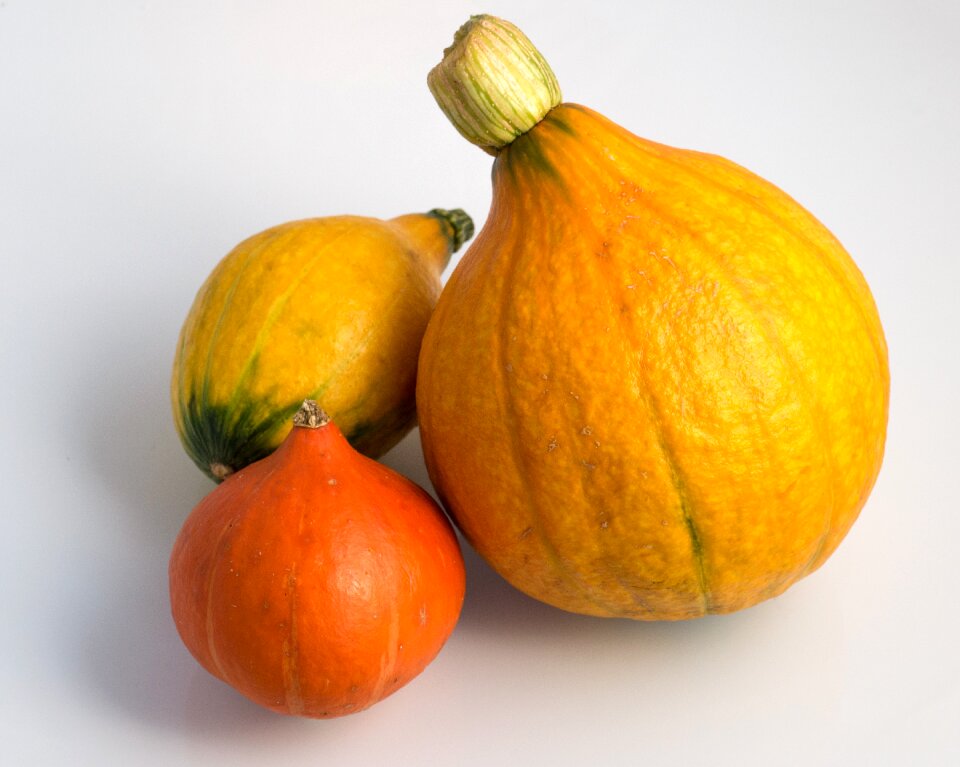 Autumn harvest orange
