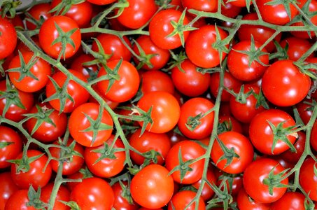 Vegetables red salento