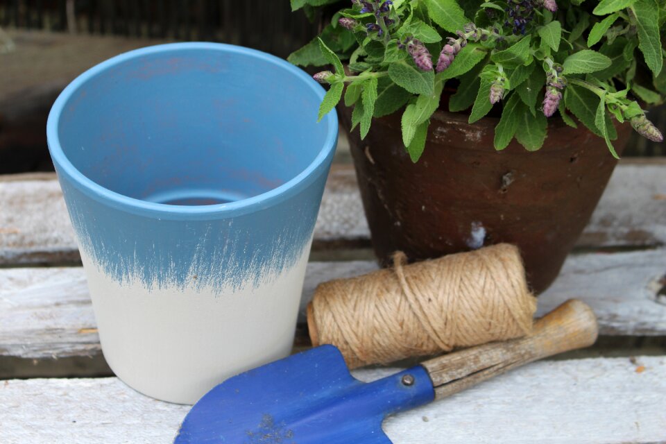 Flower pot garden flowers