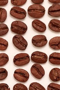 Coffee bean beans stimulant photo