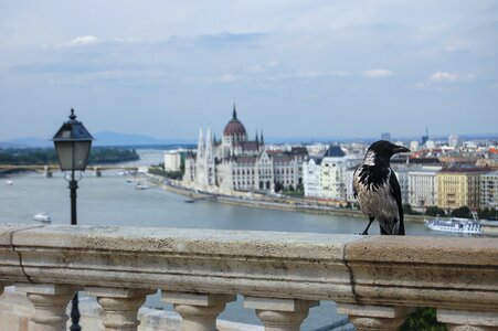 Budapest danube bird's eye view