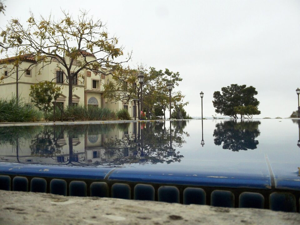 Tree campus building