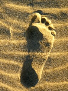 Footprint sand beach summer photo