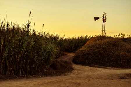 Reeds windmill countryside photo