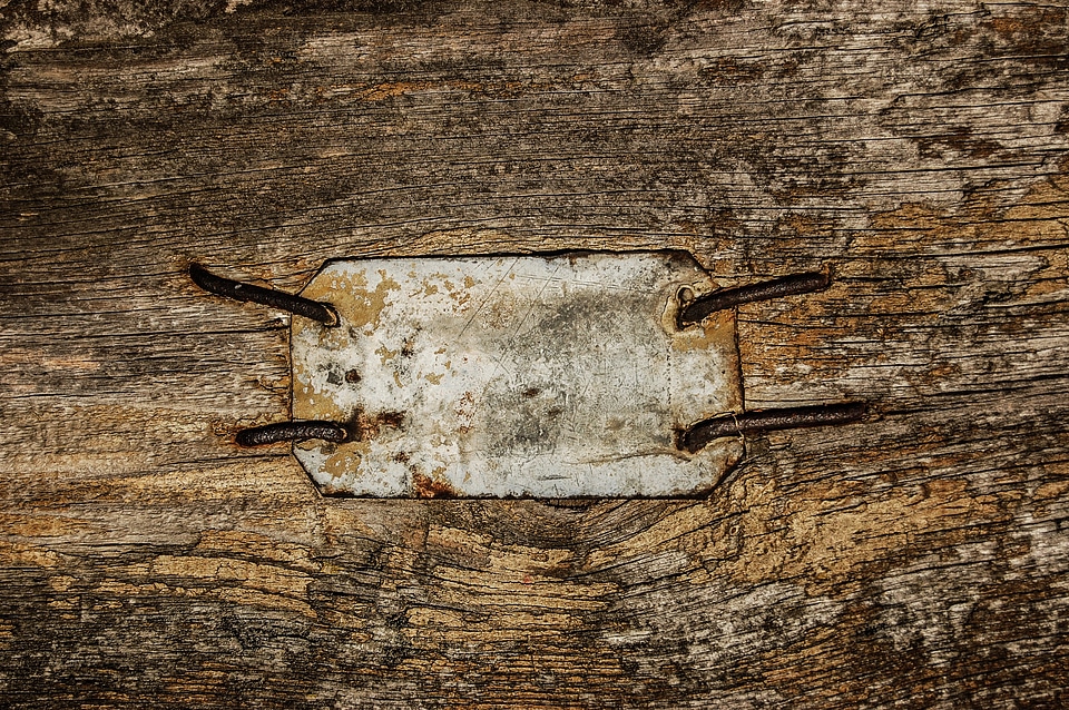 Wood texture the background