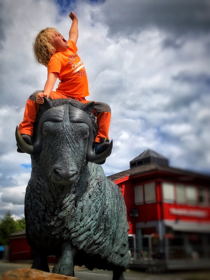 Roar achievement energy