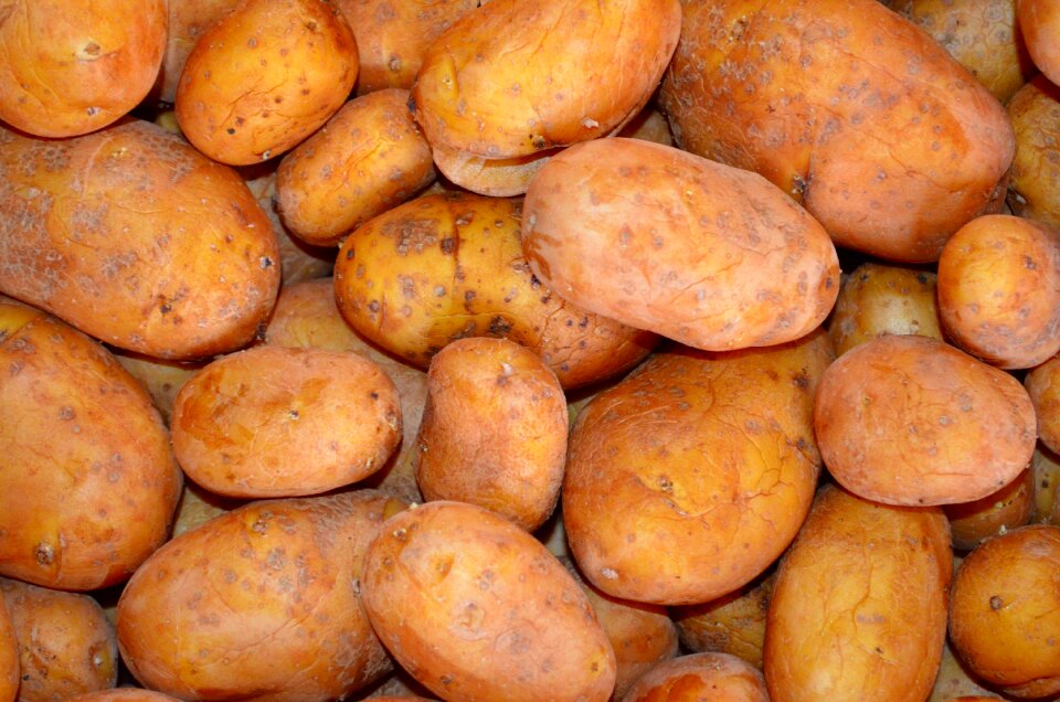 Potatoes vegetables background