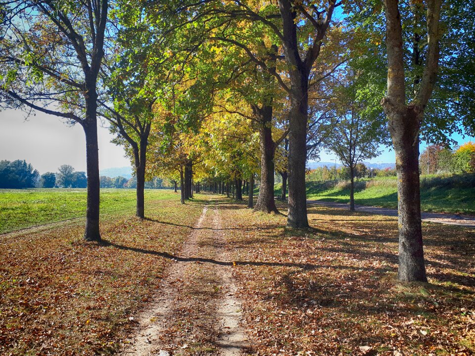 Nature leisure autumn