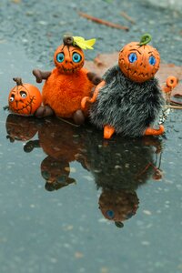 Autumn fall puddle