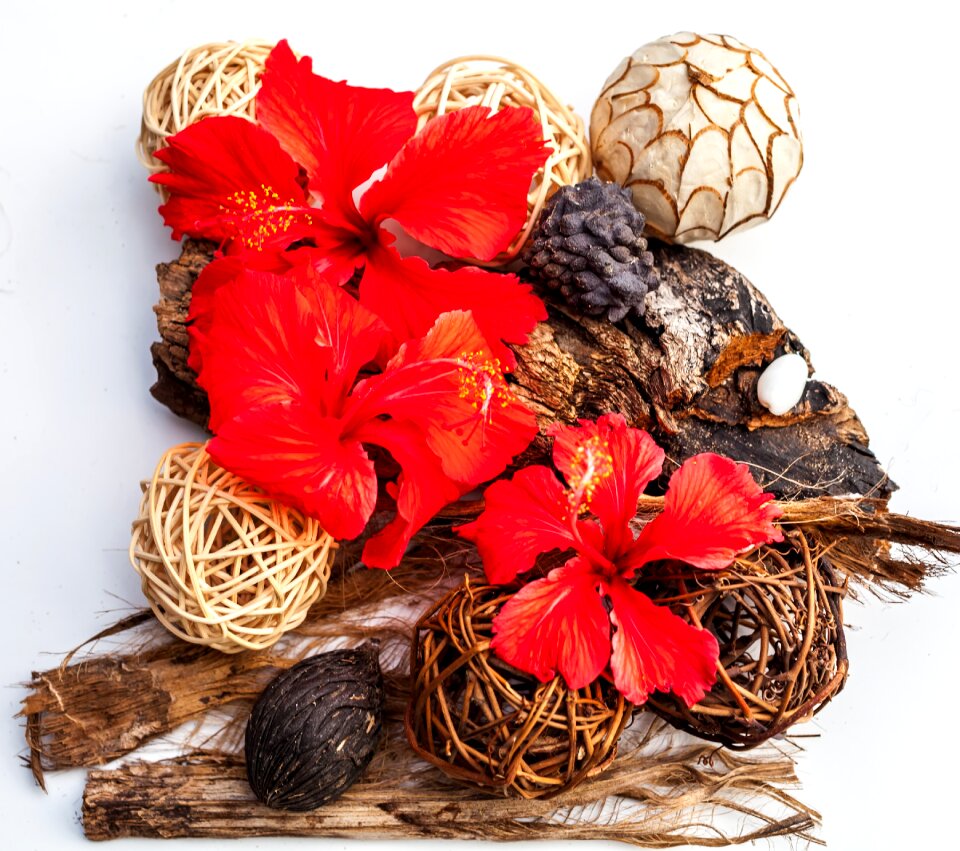 Driftwood beach wood arrangement