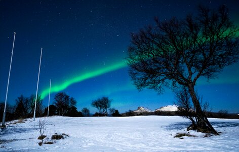 The nature of the landscape trees photo