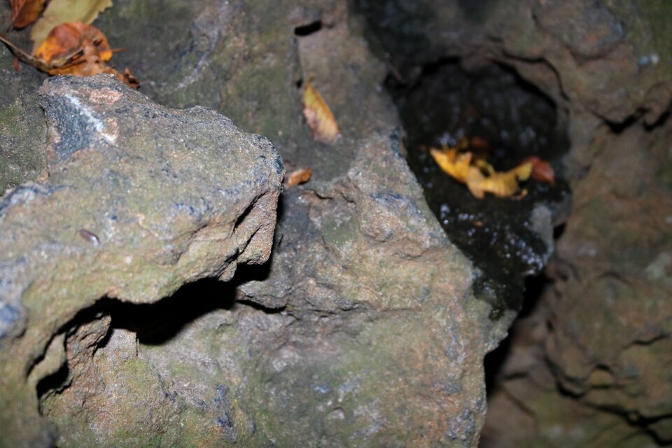 Ground garden structure
