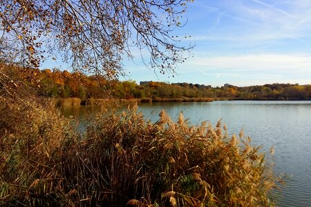 Golden autumn landscape brown