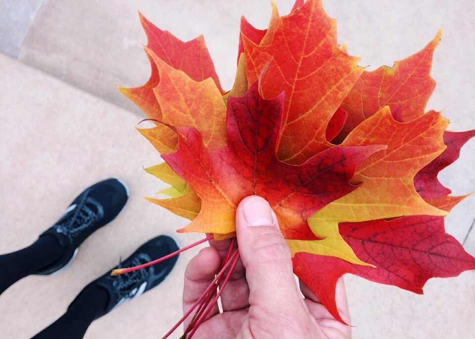 Leaf collecting season