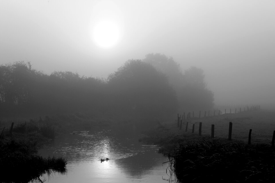 Landscape autumn river