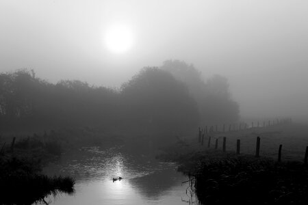 Landscape autumn river photo