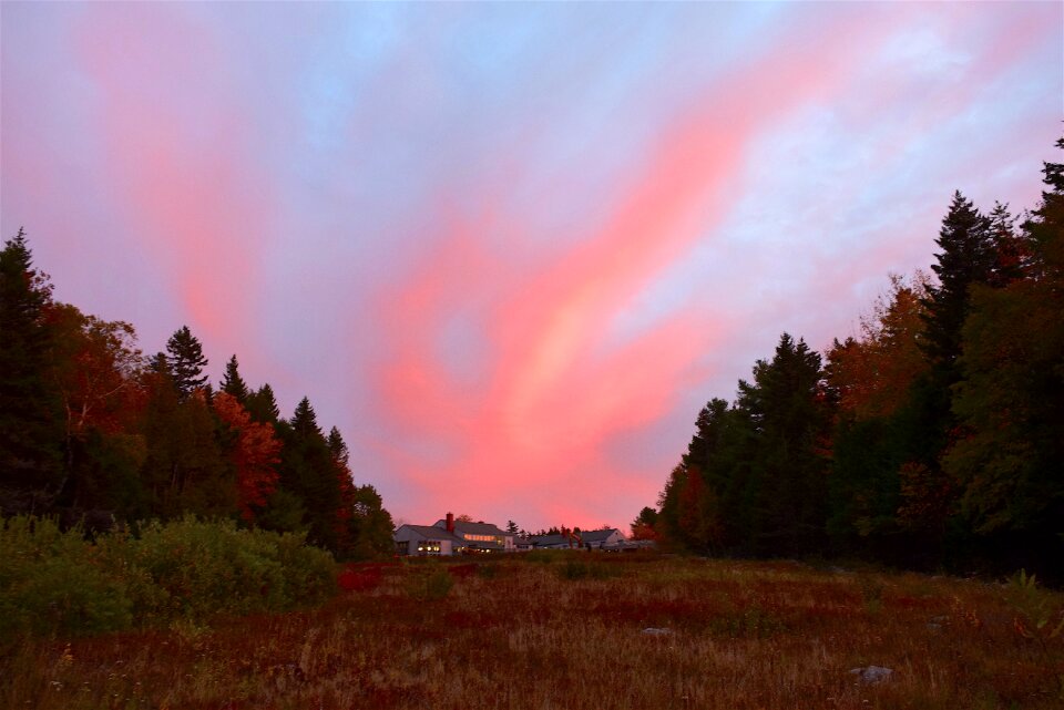 Dusk trees mountain photo