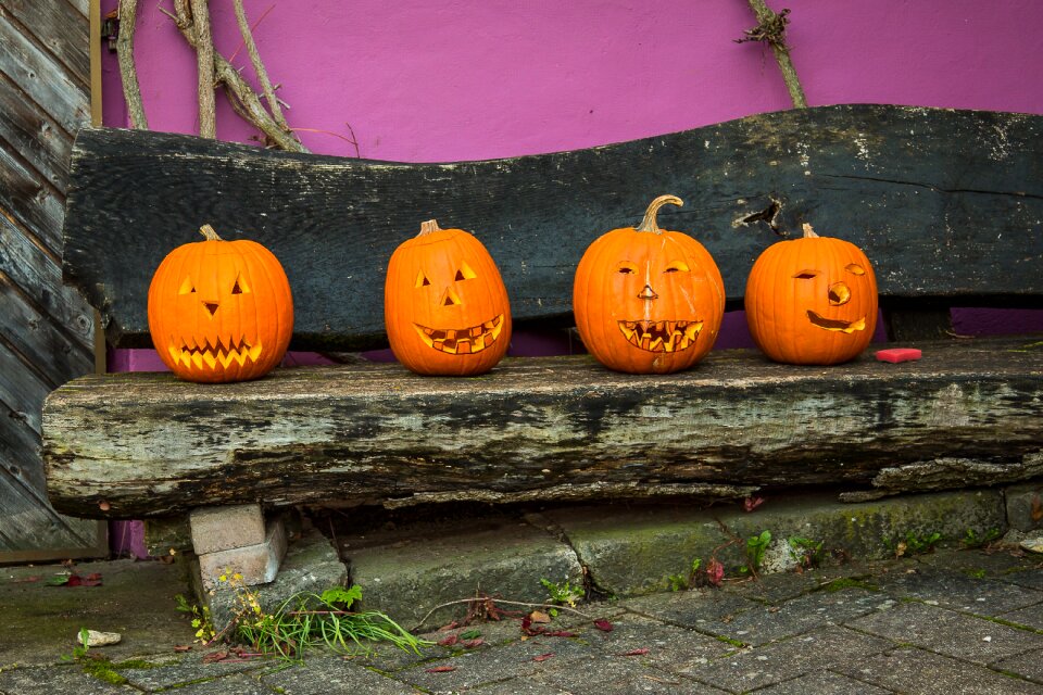 Gourd jack o'lantern fash