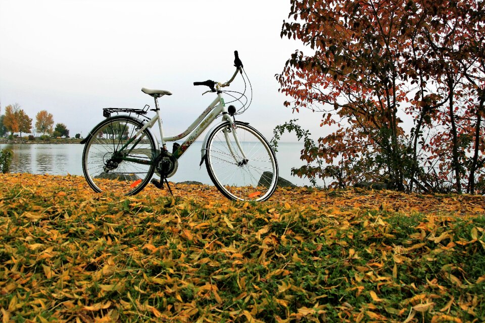 Lake bodensee morning