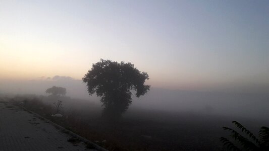 Nature dawn bicycle rides