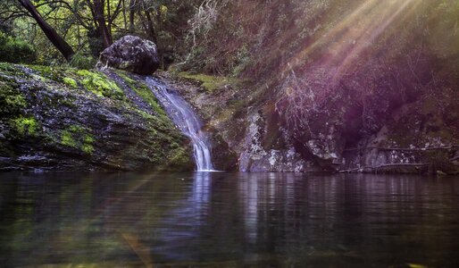 Stone waterfall forest