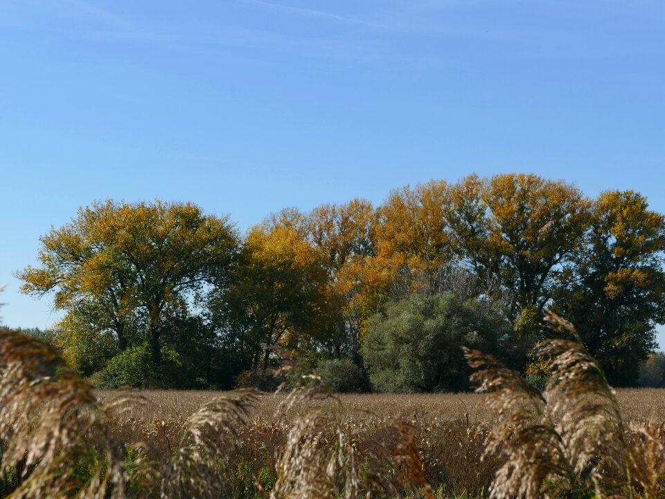 Nature country the sky photo