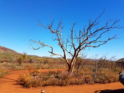 Outback landscape desert