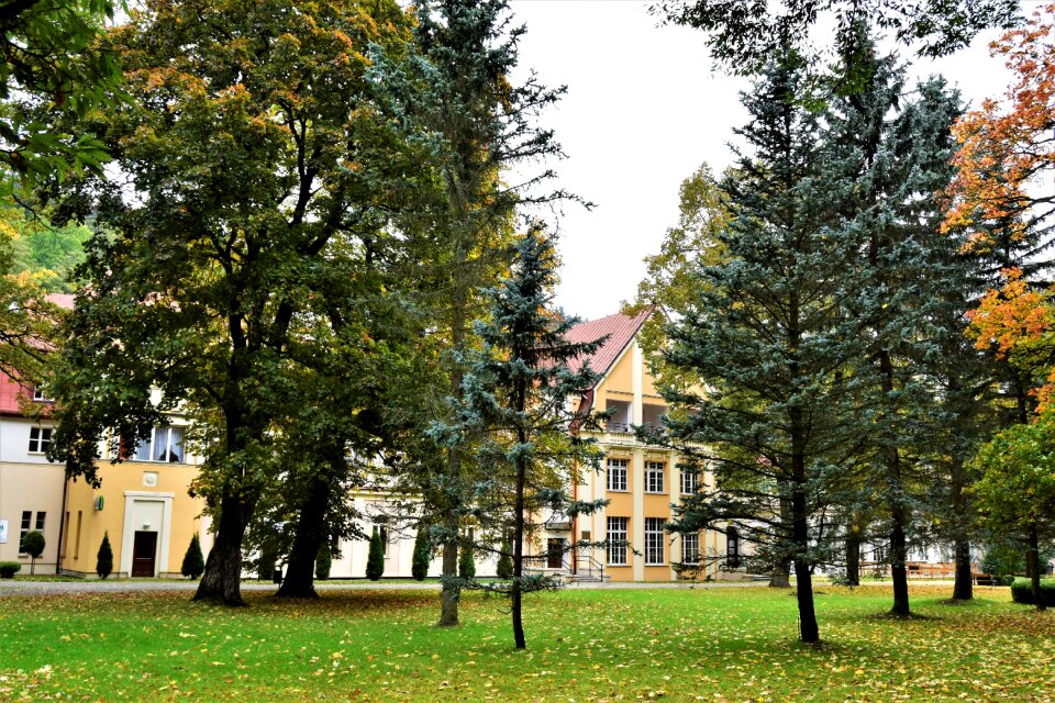 Architecture nature tree