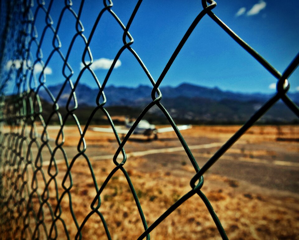 Out of focus flying alive