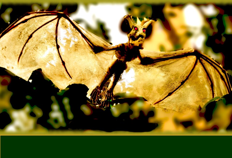 Bat halloween creepy
