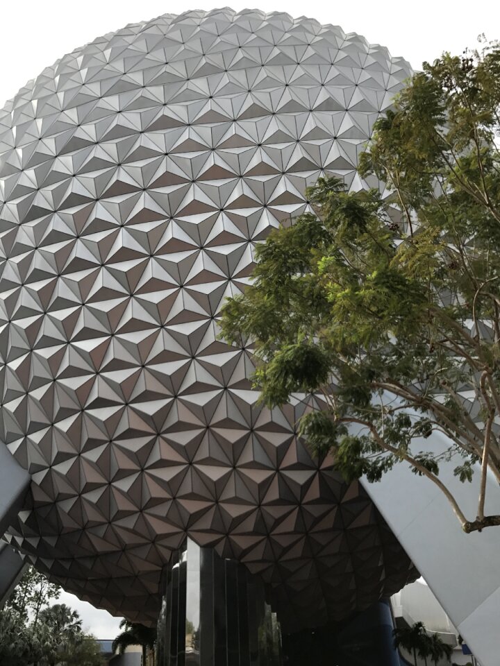 Disney world florida