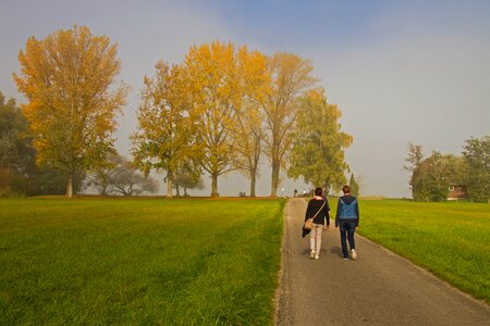 Sun autumn mood photo