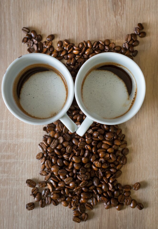 Owl coffee coffee cup