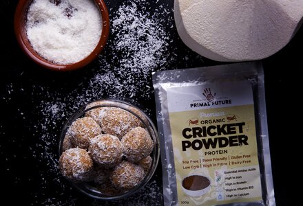 Insect protein cricket powder