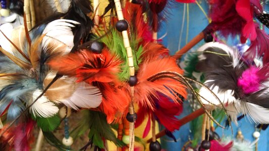 Crafts indigenous art