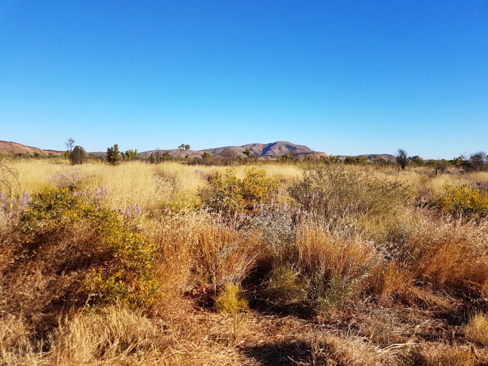 Pilbara australia landscape