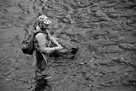 Stream water fly