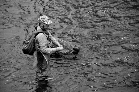 Stream water fly photo