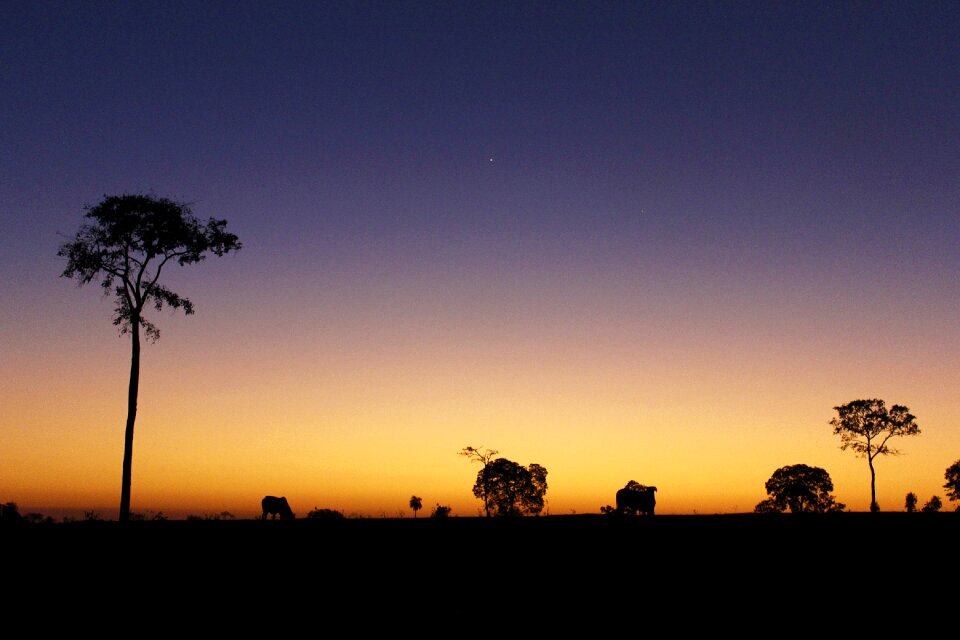 Landscape beauty dusk
