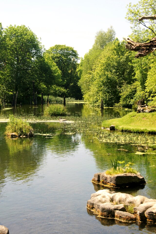 Landscape lake bach