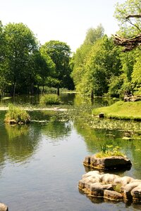 Landscape lake bach