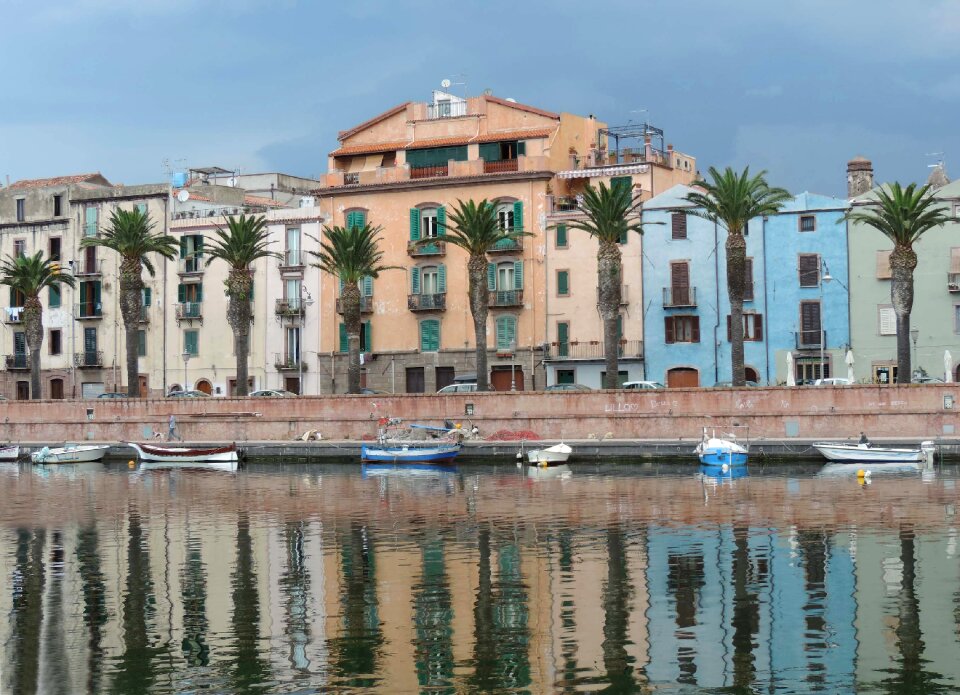 Palm trees blue boats