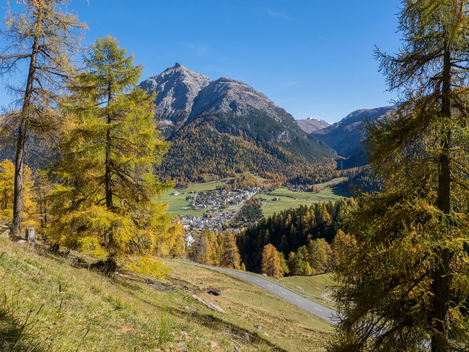 La-punt fall color autumn colours