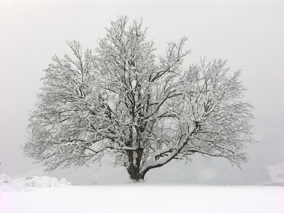Mood snow landscape landscape photo