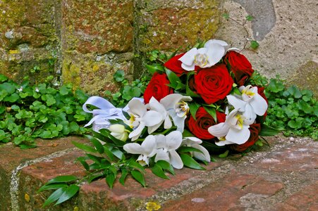 Wedding bouquet marriage bouquet photo